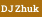 DJ Zhuk