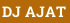 DJ AJAT