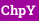 ChpY