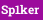 Sp1ker