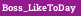 Boss_LikeToDay