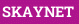 SKAYNET