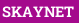SKAYNET