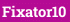 Fixator10