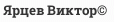 Ярцев Виктор©
