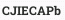 CJIECAPb