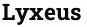 Lyxeus