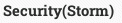 Security(Storm)