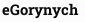 eGorynych