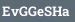 EvGGeSHa