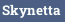 Skynetta