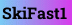 SkiFast1