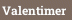 Valentimer