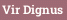 Vir Dignus