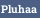 Pluhaa