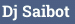 Dj Saibot