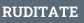 RUDITATE