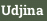 Udjina
