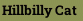 Hillbilly Cat