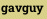 gavguy