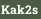 Kak2s