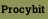 Procybit