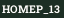 HOMEP_13