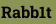 Rabb1t