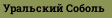 Уральский Соболь
