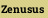 Zenusus