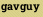 gavguy
