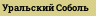 Уральский Соболь