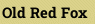 Old Red Fox