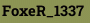 FoxeR_1337