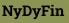 NyDyFin