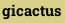 gicactus