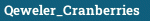 Qeweler_Cranberries