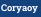Coryaoy
