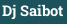 Dj Saibot
