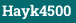 Hayk4500