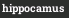 hippocamus