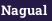 Nagual
