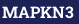 MAPKN3