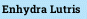 Enhydra Lutris