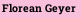 Florean Geyer
