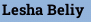 Lesha Beliy